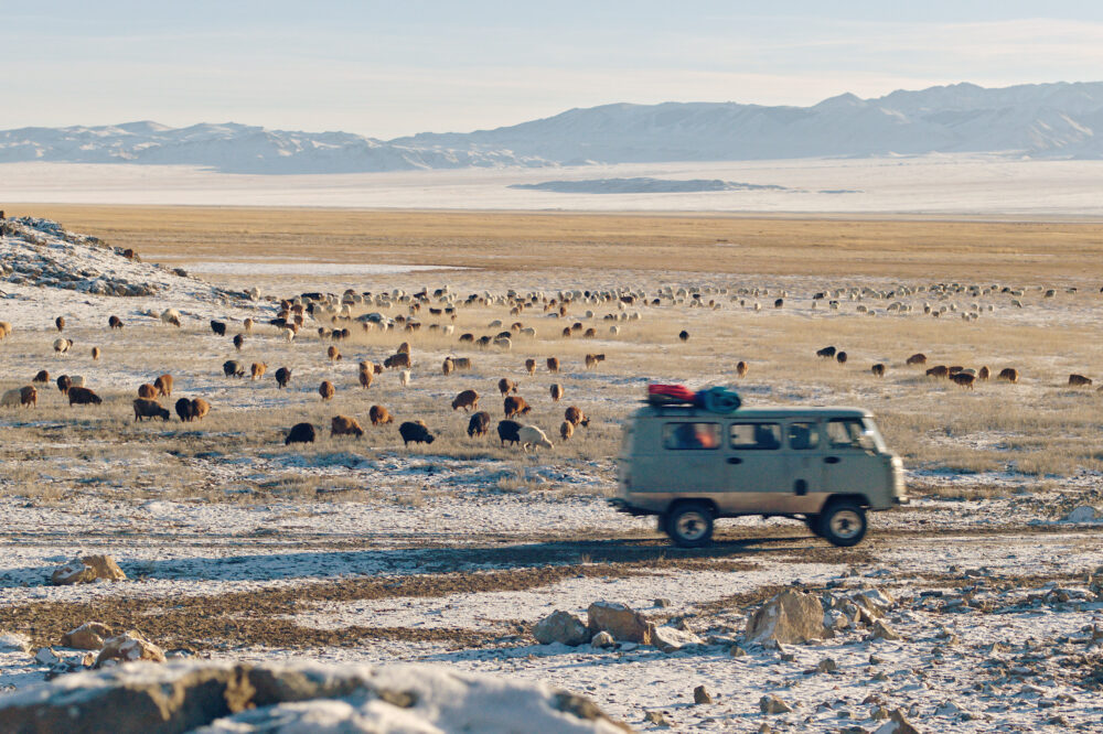 Mongolei_CheckerTobi2