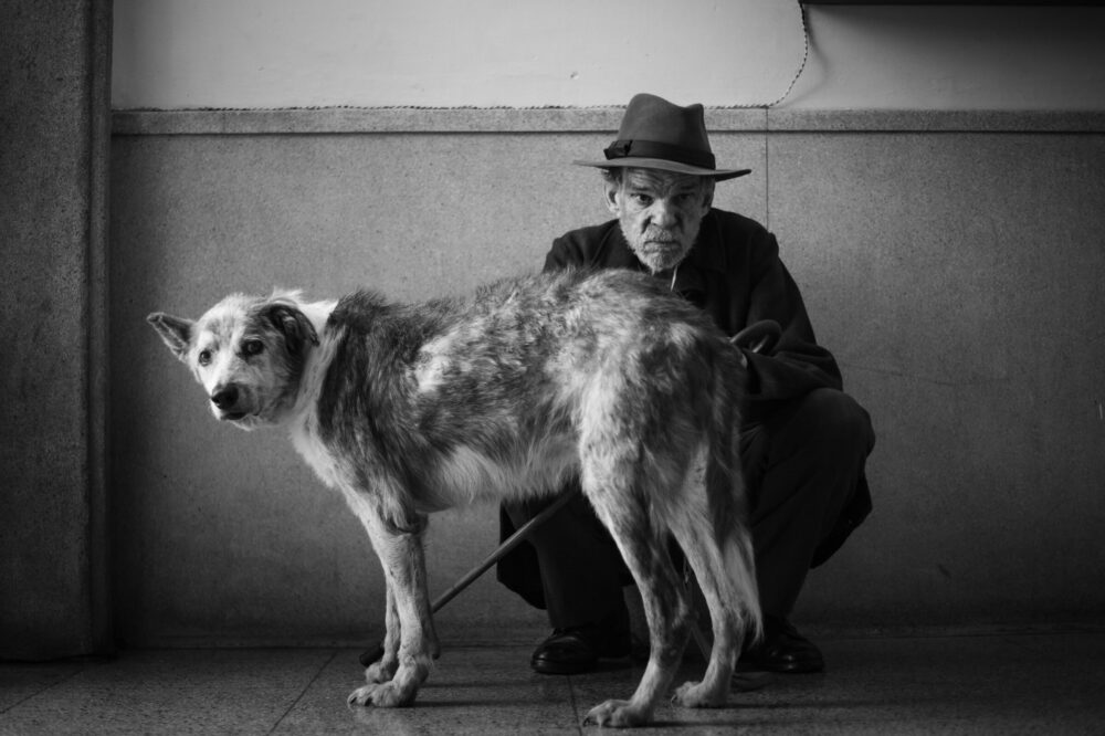 © Foz Gaumont France 2 Cinema Foto Carole Bethuel