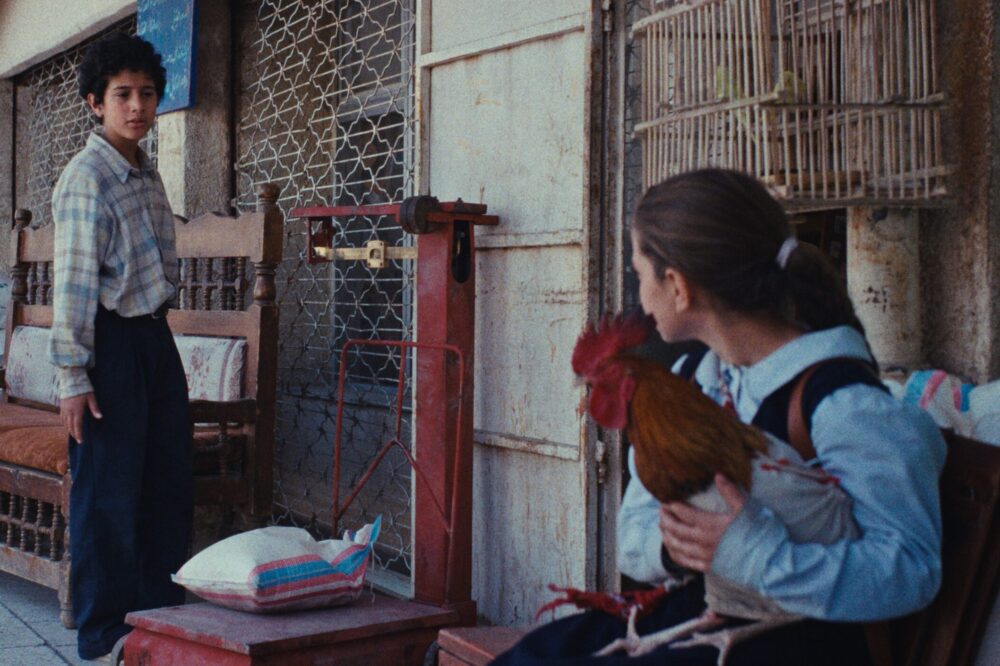 Ein_Kuchen_für_den_Präsidenten_Still_5_©Vuelta Germany_24 Bilder