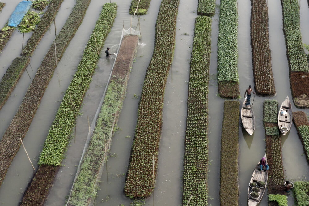 © Othmar Schmiderer