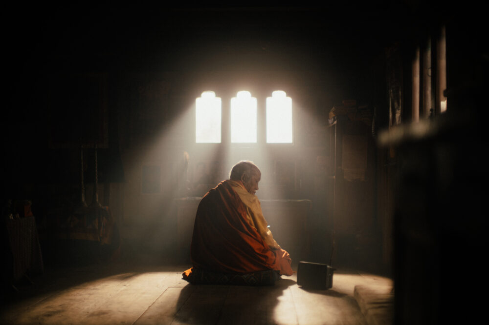 ©Dangphu Dingphu A3 Pigs Production Journey-to-the-East-Films-Ltd